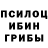 Псилоцибиновые грибы GOLDEN TEACHER Lucas Pincerato
