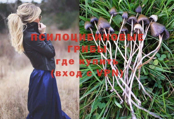 MDMA Premium VHQ Богородицк