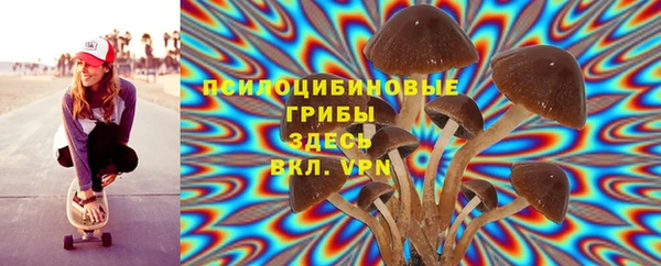 синтетический гашиш Богданович