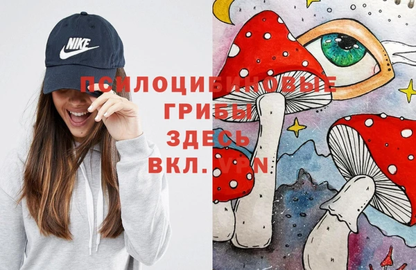 ГАЛЛЮЦИНОГЕННЫЕ ГРИБЫ Няндома