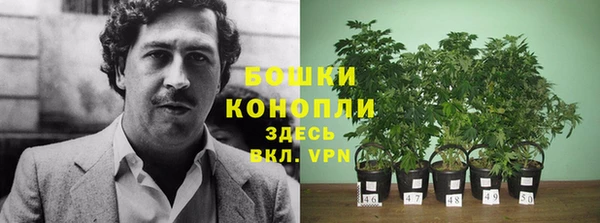 синтетический гашиш Богданович