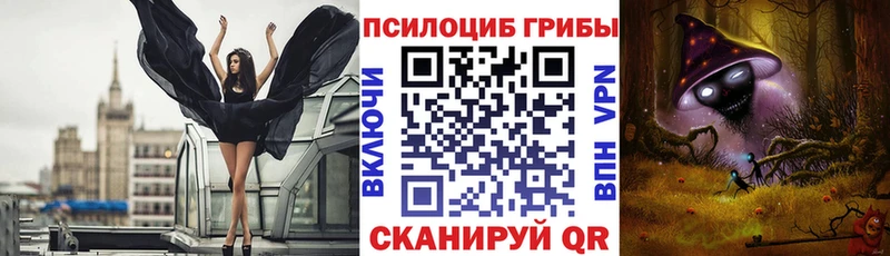 MEGA рабочий сайт  Армавир  Галлюциногенные грибы Psilocybine cubensis 